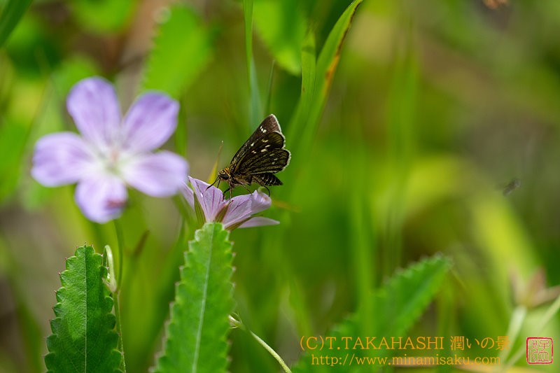 ../Images/7R24.07 26 (20).jpg